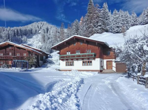 Apartment in Wagrain near the ski area